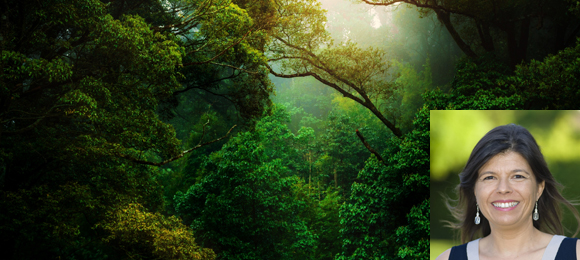 Workshop by Brigitte Burgisser: How to bring calmness and serenity in uncertain times
